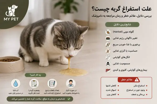 گربه‌ای با علائم ناراحتی گوارشی در محیط خانه؛ تصویری آموزشی که به بررسی دلایل استفراغ گربه، علائم هشداردهنده و اهمیت مراجعه به‌موقع به دامپزشک برای حفظ سلامت حیوان اشاره دارد. لوگوی MY PET در گوشه تصویر قرار گرفته است.